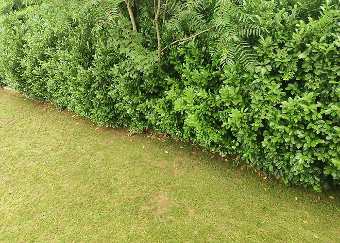 Apartment Rosanna - Adults Only